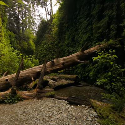 The Deathless and the Dying. London 11.2025 The Deathless and the Dying. London 11.2025