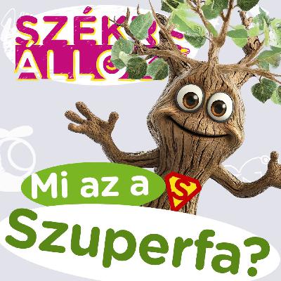 Mi az a szuperfa és miért van rá szükség?🌲🌍I Székre Állok Ortutay Dórival és Hajdu Steve-vel