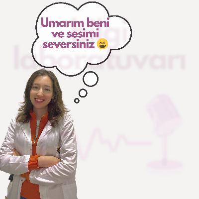 1 - Bilgi Laboratuvarı'na hoşgeldiniz!
