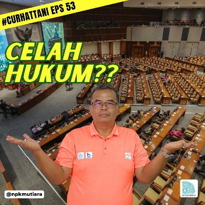Bocornya Kebijakan Hukum Berdampak Ke Semua Sektor | CurhatTani #53