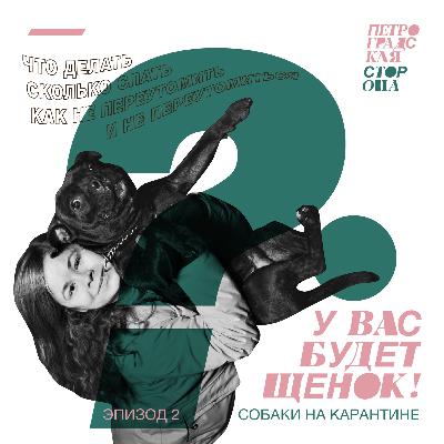 У вас будет щенок! 2. Собаки на карантине