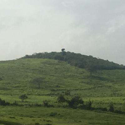 O clima da região sul do Brás