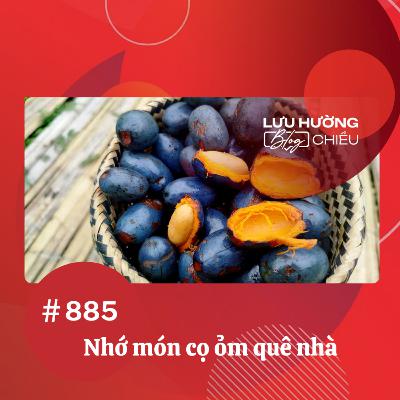 Nhớ món cọ ỏm quê nhà | Lưu Hường blog chiều | Đài Hà Nội