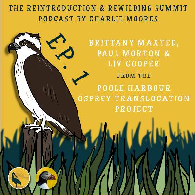 Episode 1: The Poole Harbour Osprey Translocation Project Episode 1: The Poole Harbour Osprey Translocation Project