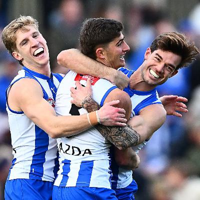Harry's Half Century Leads the Way In A Big Win to Farewell Tassie