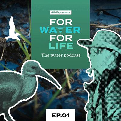 Cleaning Up Cape Town's Water Canals