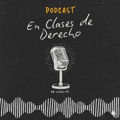 Del libre ejercicio al servicio público en la Contraloría