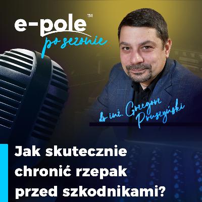 Jak skutecznie chronić rzepak przed szkodnikami? || dr inż. Grzegorz Pruszyński