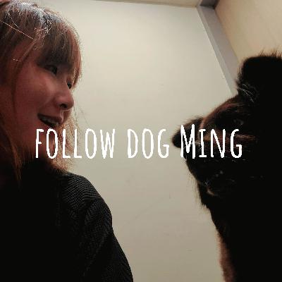 幫家裡準備一個新的狗狗學習區