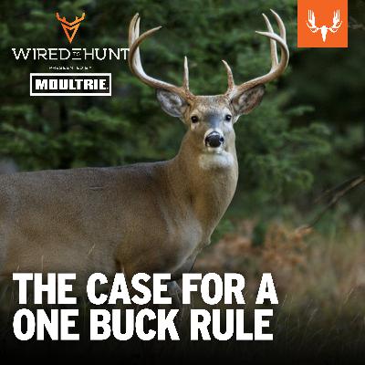Ep. 1033: The Case for a One Buck Rule with Brent Rudolph Ep. 1033: The Case for a One Buck Rule with Brent Rudolph