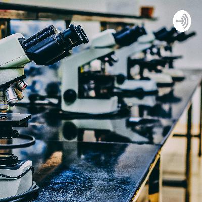 Designer Babies and Crispr