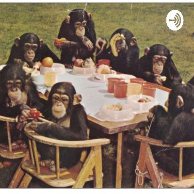 Chimp talk #17 Chimp talk #17