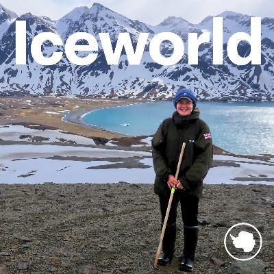 S4 Ep9: A carnival of polar animals, with Katie Wells