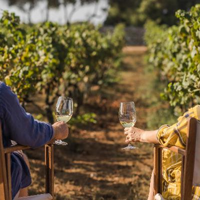 Nos vamos a Menorca a conocer sus vinos ¿Te vienes? Nos vamos a Menorca a conocer sus vinos ¿Te vienes?