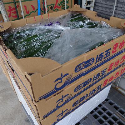 #161 たたきキュウリストレス解消法