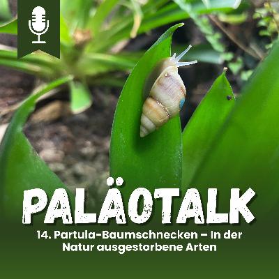14. Partula-Baumschnecken – In der Natur ausgestorbene Arten 14. Partula-Baumschnecken – In der Natur ausgestorbene Arten