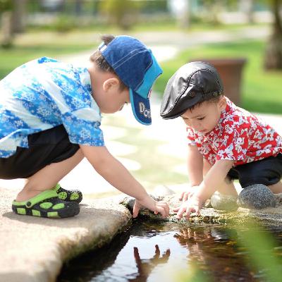 Los períodos sensibles en Montessori 1/2