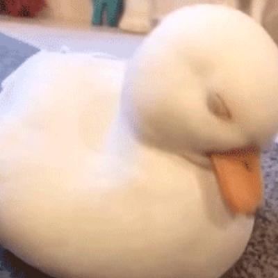 我在美国研究薏米水祛湿|当代青年养生图鉴03集