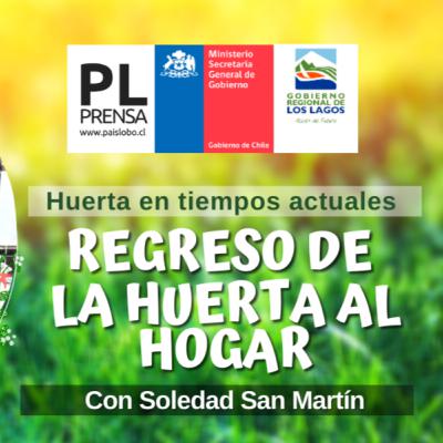 Episodio 6: "Regreso de la huerta a la casa" en Huerta en tiempos actuales con Soledad San Martín Episodio 6: "Regreso de la huerta a la casa" en Huerta en tiempos actuales con Soledad San Martín
