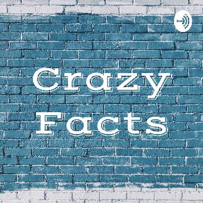 Lines on life by KHAN Sir