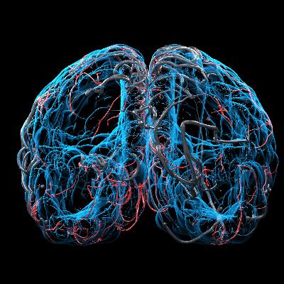 Estamos como queremos - ¿Por qué nuestro cuerpo está en el cerebro? - 30/10/22