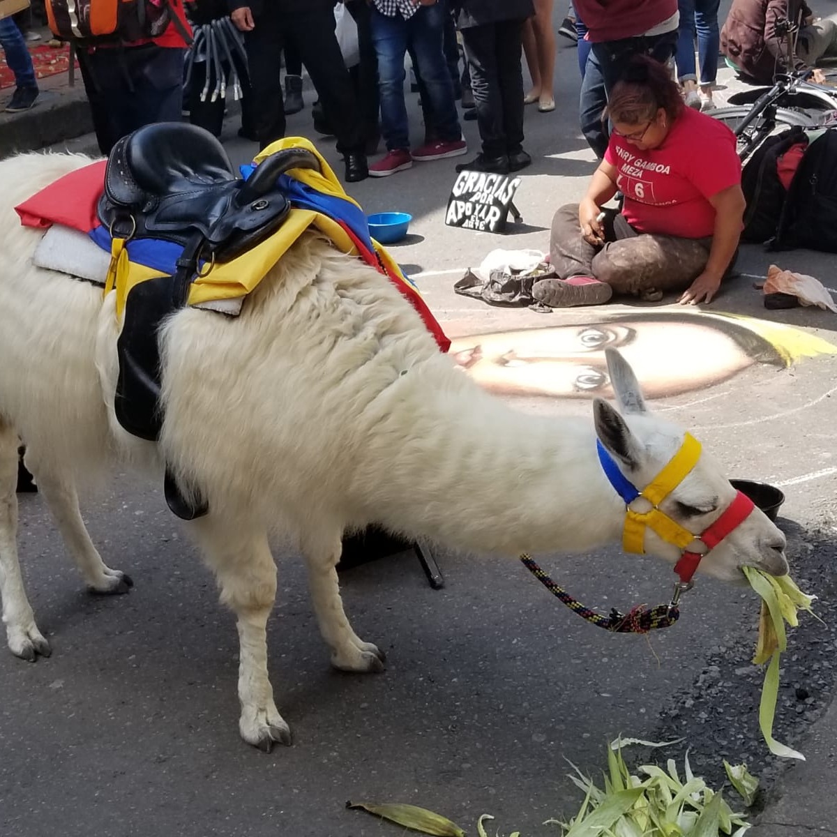 Ep14 - Episodio rapido en vivo desde Bogota