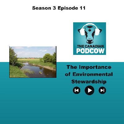 The Importance of Environmental Stewardship