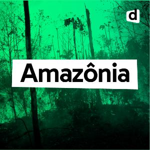 As queimadas na Amazônia