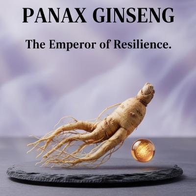 Ginseng & Skin Bioenergetics: The Science of Cellular Longevity 🧬 Ginseng & Skin Bioenergetics: The Science of Cellular Longevity 🧬