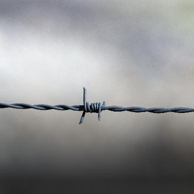 S9 Ep17: Sanctions and financial repression S9 Ep17: Sanctions and financial repression