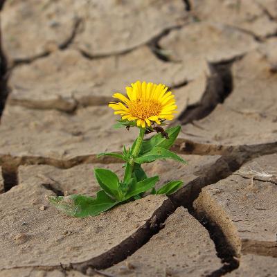 Um "Futuro" Melhor Um "Futuro" Melhor