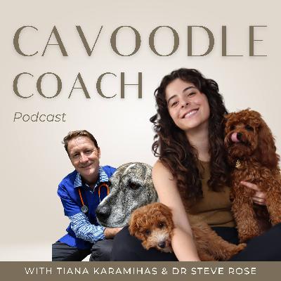 #63 How To Pick The Best Pet Insurance for Cavoodles: Vet-Approved Advice from Trupanion’s CEO, Dr Steve Rose