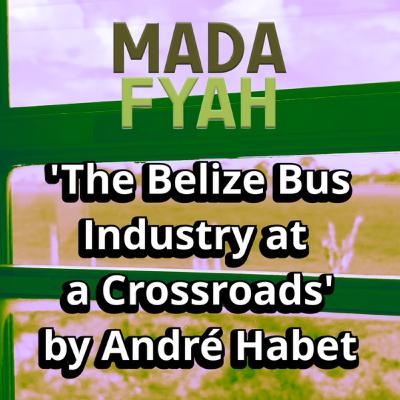 The Belize Bus Industry at a Crossroads