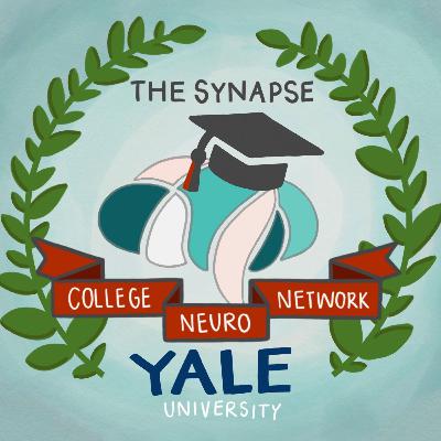 The College Neuro Network: Yale University from a Professor of Comparative Medicine, Neuroscience, and Psychology The College Neuro Network: Yale University from a Professor of Comparative Medicine, Neuroscience, and Psychology