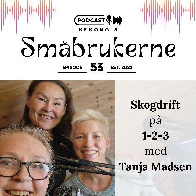 Skogdrift på 1-2-3 med Tanja Madsen