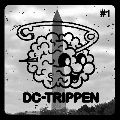 DC-Trippen