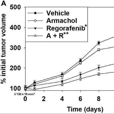 Aramchol Boosts Regorafenib Effectiveness in Gastrointestinal Tumors