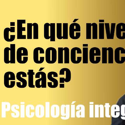 Los niveles de conciencia ( Ken Wilber ) - Psicología integral