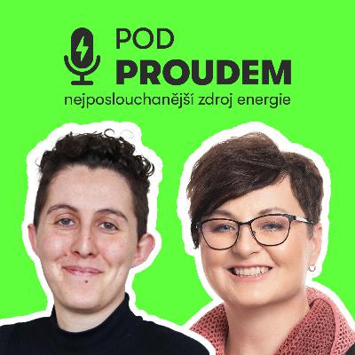 Jak uchránit soláry a baterky před hackery? Za nedbalost hrozí i likvidační pokuty