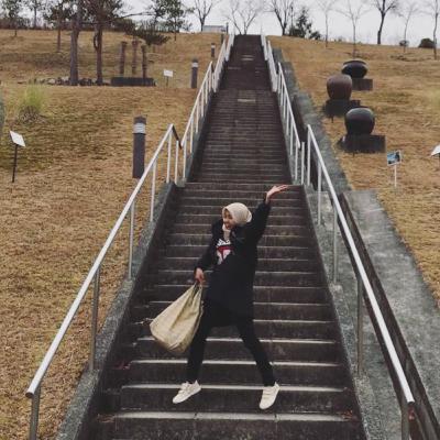 Berkarir di Jepang?? Begini caranya