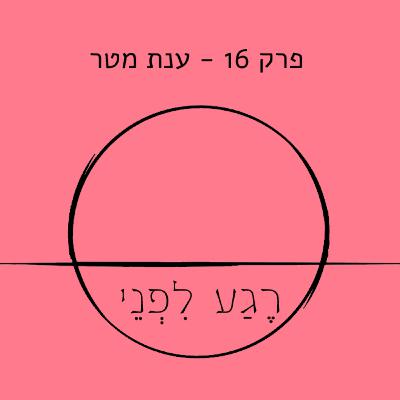 פרק 16 - ענת מטר