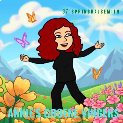 37 - Springbalsemien