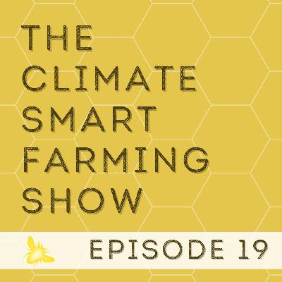 EP19 The Post-Carbon Farming System in Practice