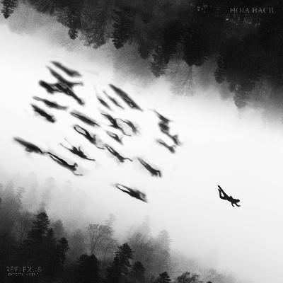 6 | Hoia Baciu