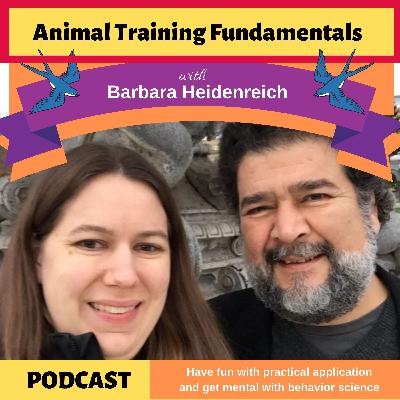 30 - Effective Reinforcement with Jesus Rosales-Ruiz and Mary Hunter 30 - Effective Reinforcement with Jesus Rosales-Ruiz and Mary Hunter