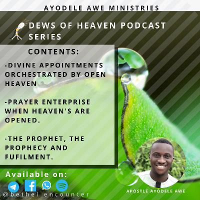 Divine Appointment Orchestrated by Open Heaven