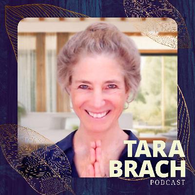 Trusting the Path: A Conversation on Refuge & Compassion | Tara Brach, Ajahn Kovilo & Ajahn Nisabho