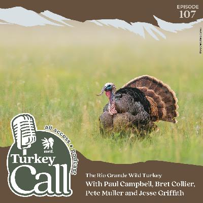 EP 107 The Rio Grande Wild Turkey with Paul Campbell, Bret Collier, Pete Muller and Jesse Griffith