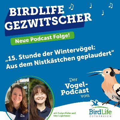 69. 15. Stunde der Wintervögel: Aus dem Nistkästchen geplaudert