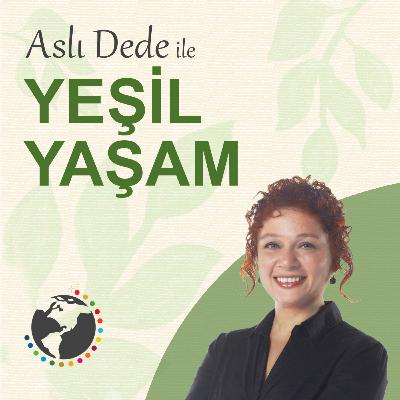 011 Doğa ile bağımızı nerede kopardık? 011 Doğa ile bağımızı nerede kopardık?